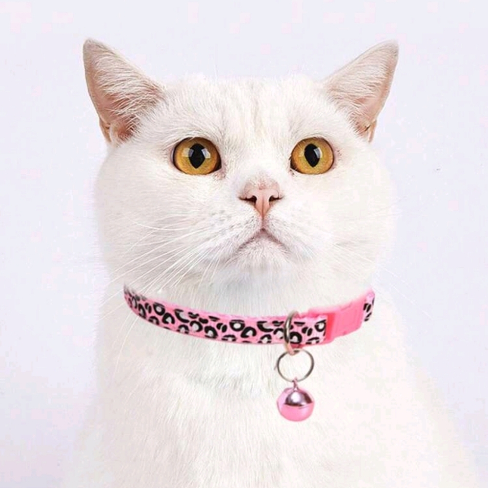 Cat collar - Picture 3 of 6